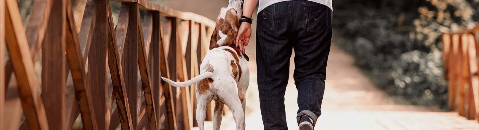 Picayune Veterinary Clinic Picayune Veterinary Clinic