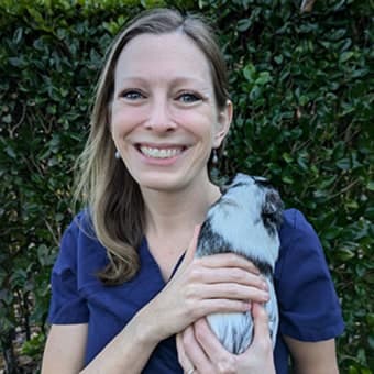 Dr. Jana VanStee Dr. Jana VanStee