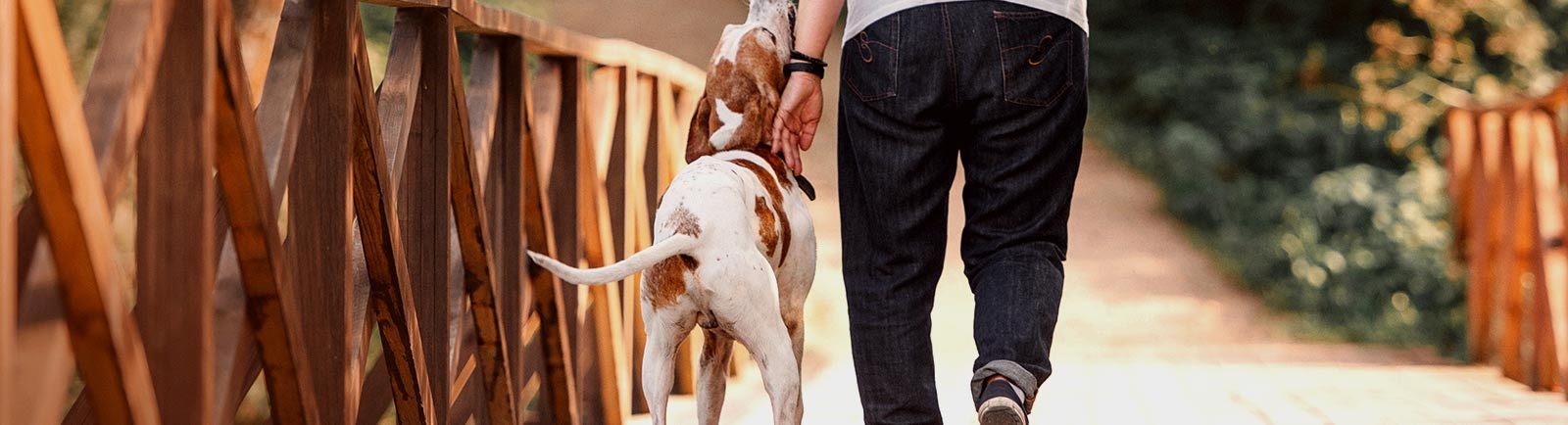 North Tollway Pet Hospital North Tollway Pet Hospital