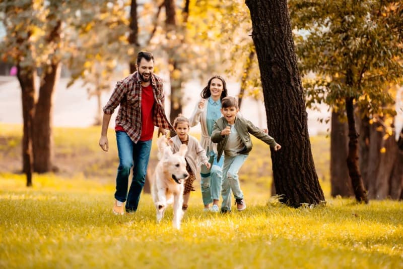 How to Create and Maintain a Healthy Environment and Lifestyle for your Pet How to Create and Maintain a Healthy Environment and Lifestyle for your Pet