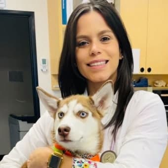 Dr. Jailene Fuentes Dr. Jailene Fuentes