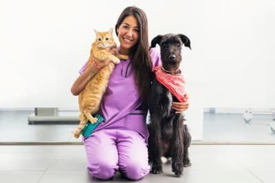 Making the Most of Your Pet's Routine Exam: What to Ask Your Vet Making the Most of Your Pet's Routine Exam: What to Ask Your Vet