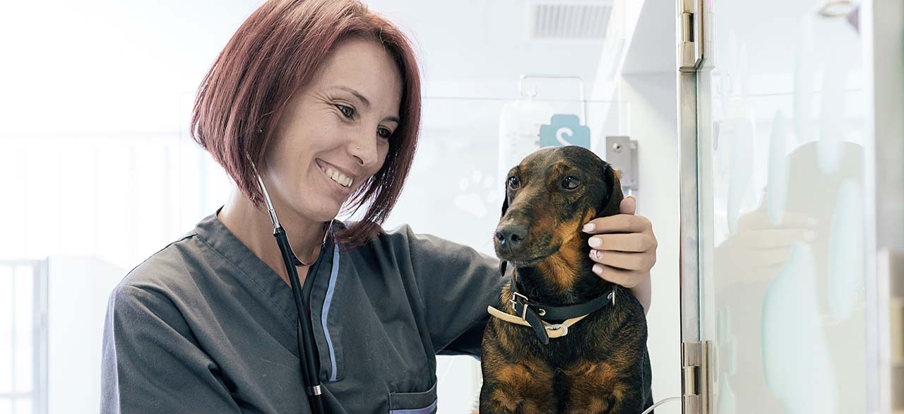 thomasville-veterinary-hospital-banner-3 thomasville-veterinary-hospital-banner-3