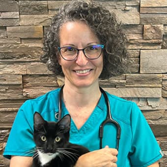 Dr. Kristi Ellis Dr. Kristi Ellis