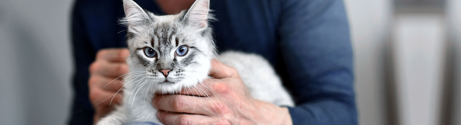 Bowman Road Animal Clinic Bowman Road Animal Clinic