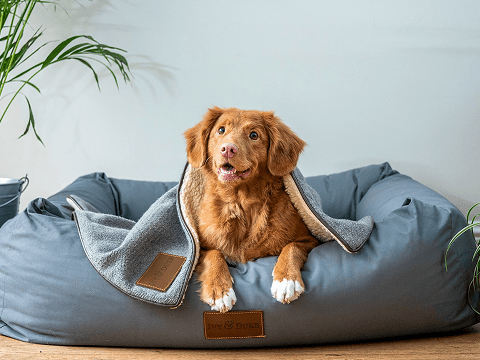 Rectangle 17 Rectangle 17