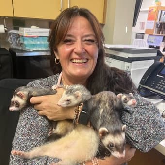 Dr. Cynthia Brown Dr. Cynthia Brown