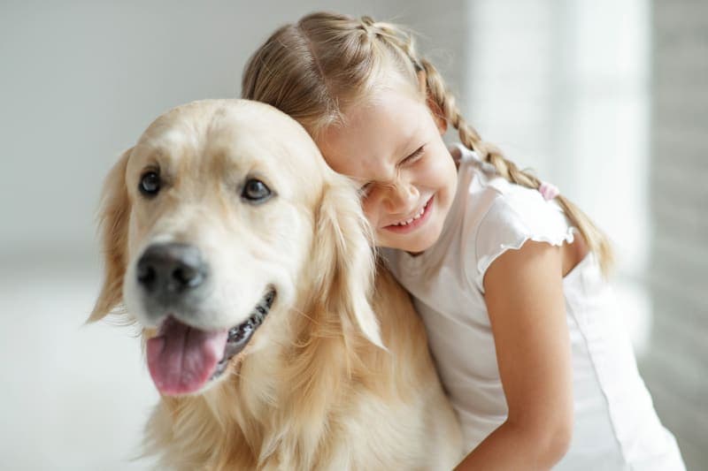 Our Top 10 Picks for The Best Dog for Kids Our Top 10 Picks for The Best Dog for Kids