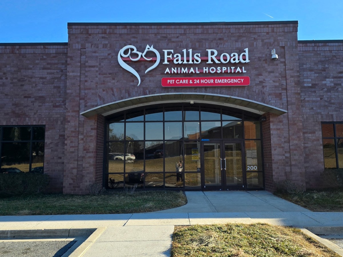Falls Road Animal Hospital Hero Image Falls Road Animal Hospital Hero Image