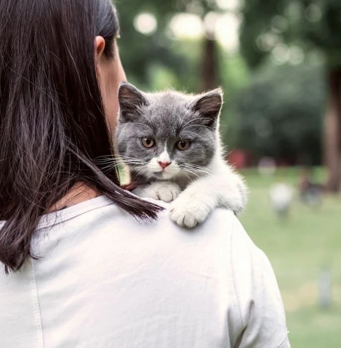 Margaux H. Margaux H.