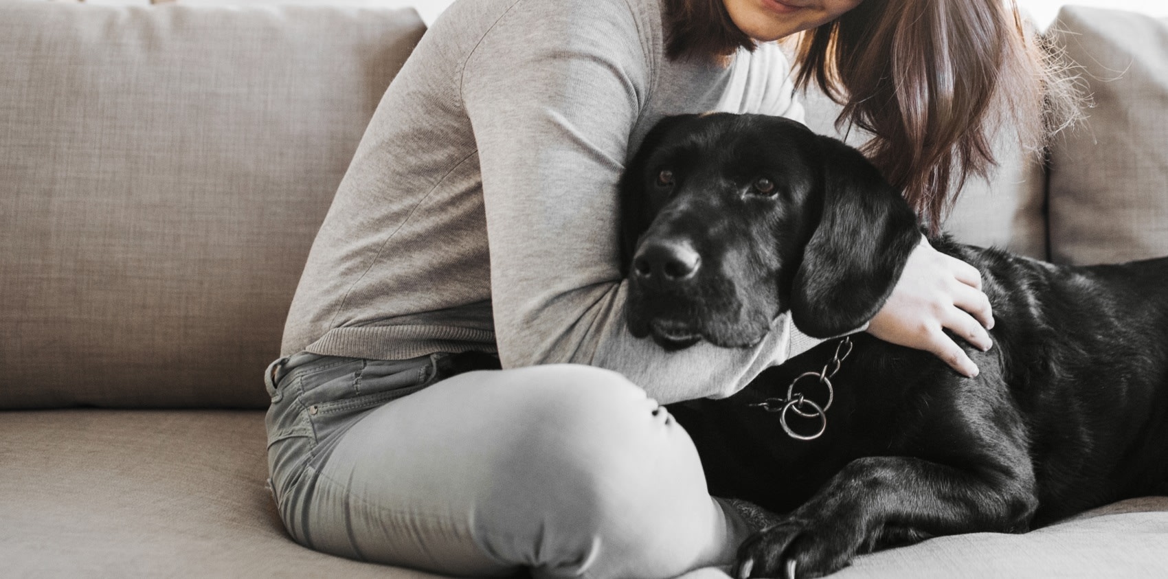 Lincoln Road Veterinary Clinic Hero Image Lincoln Road Veterinary Clinic Hero Image