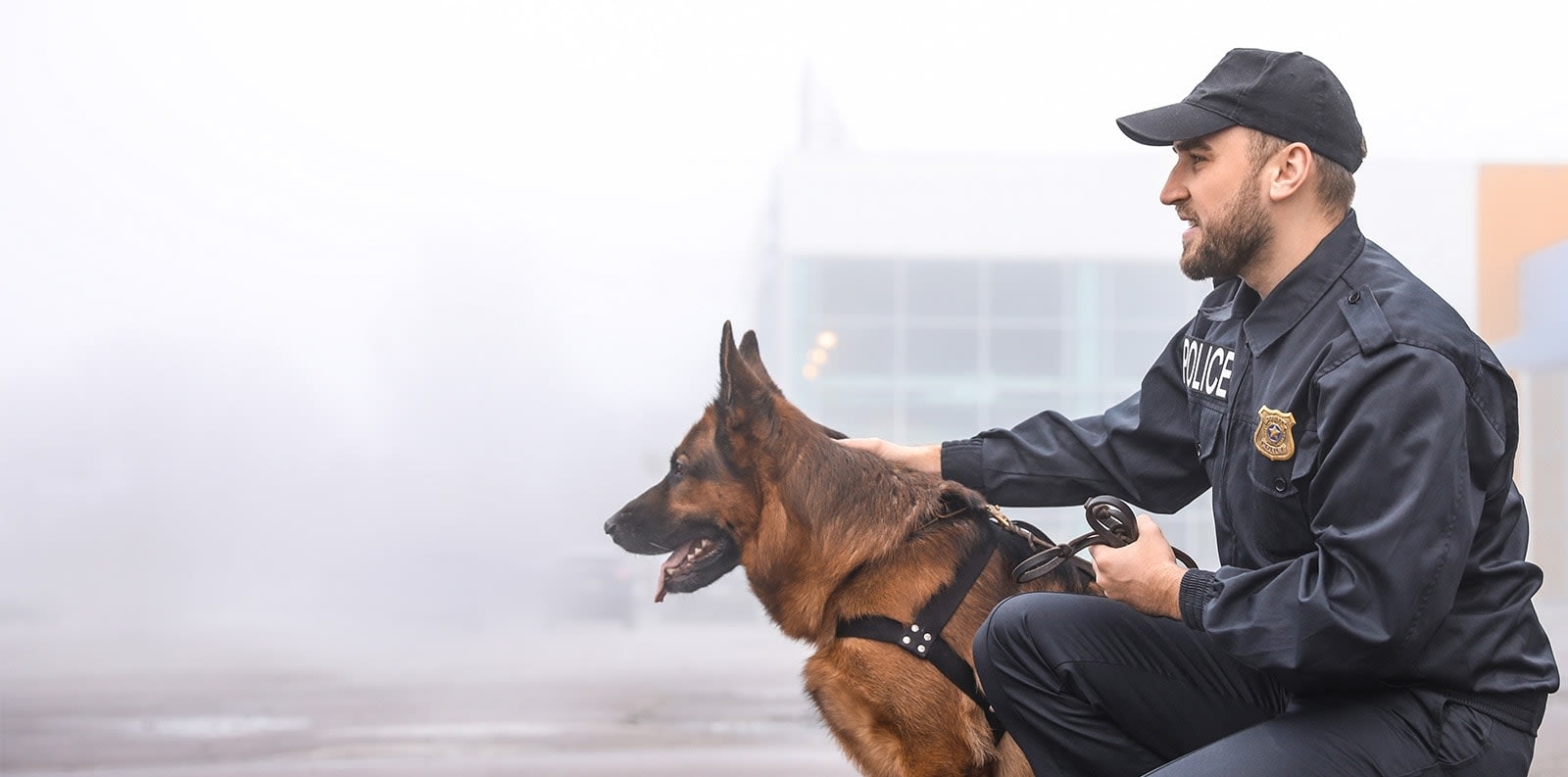 Animal Care Extraordinaire Hero Image Animal Care Extraordinaire Hero Image